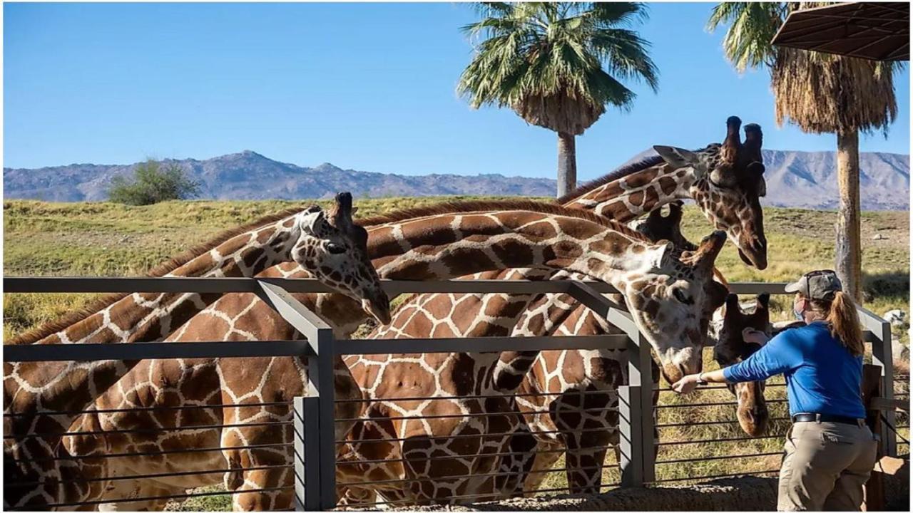Holiday Inn Express Palm Desert By Ihg Экстерьер фото